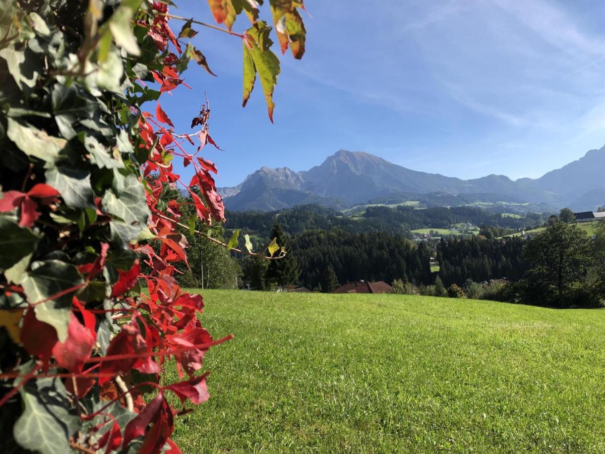Ferienwohnung Pyhrgasblick Rosenau am Hengstpass Eksteriør billede